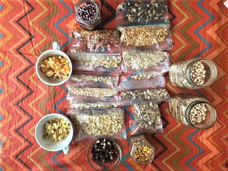  - The gifts of the harvest at Laguna Pueblo, NM