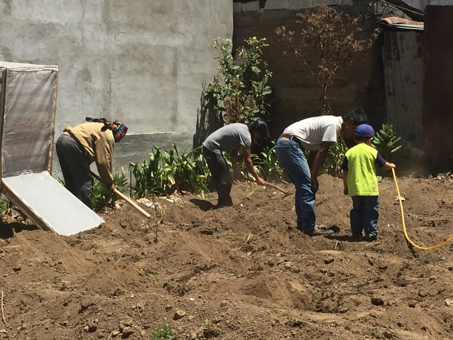  - Working on the milpa corn field, Escuela Ki'kotemal, Guatemala